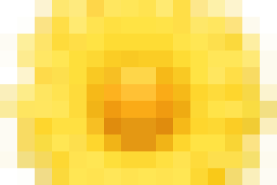 ✨ Sinh hoạt chuyên môn đầu năm học ✨